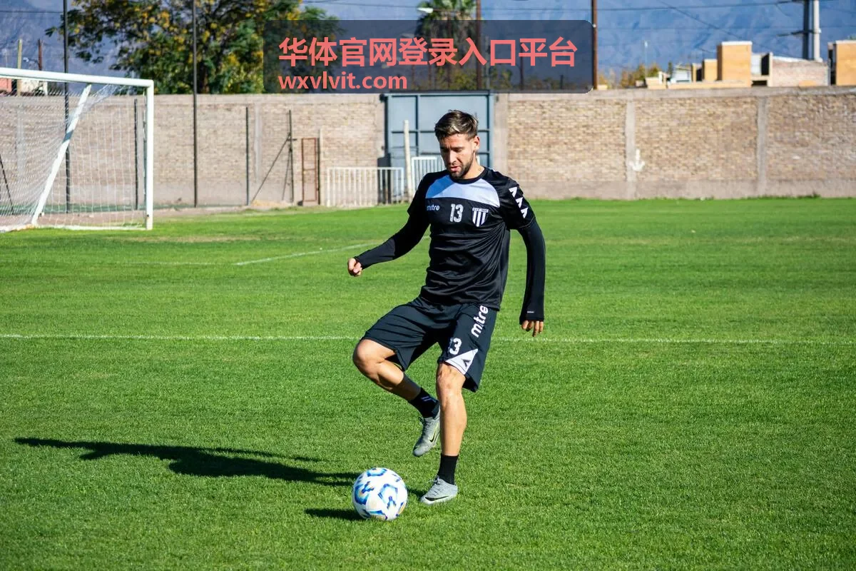 华体官网登录入口平台在手机端的访问界面示意